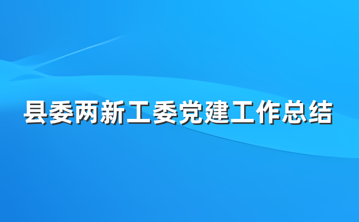 县委两新工委党建工作总结