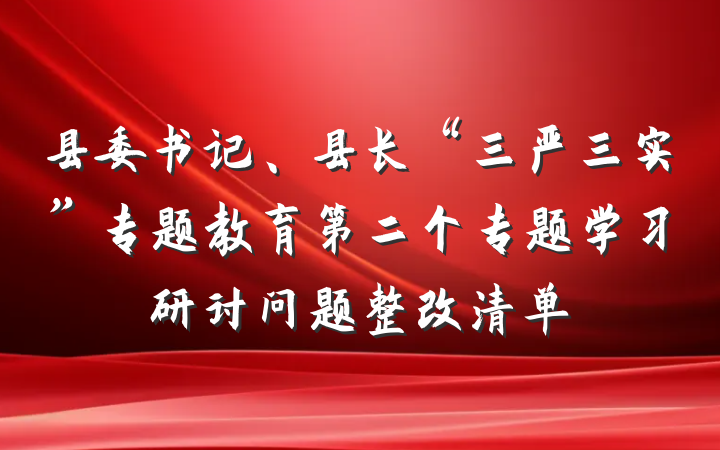 县委书记、县长“三严三实”专题教育第二个专题学习研讨问题整改清单