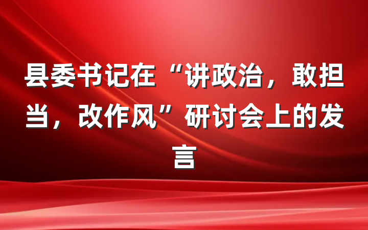 县委书记在“讲政治，敢担当，改作风”研讨会上的发言
