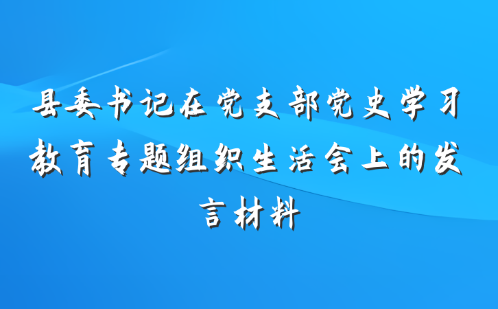 县委书记在党支部党史学习教育专题组织生活会上的发言材料