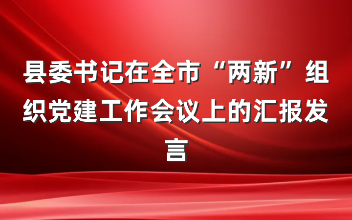 县委书记在全市“两新”组织党建工作会议上的汇报发言