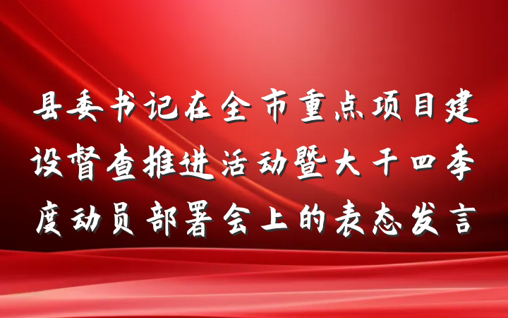 县委书记在全市重点项目建设督查推进活动暨大干四季度动员部署会上的表态发言
