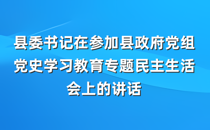 县委书记在参加县政府党组党史学习教育专题民主生活会上的讲话