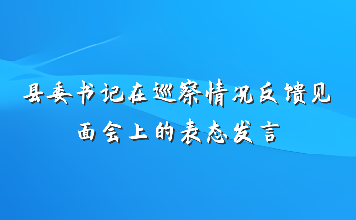 县委书记在巡察情况反馈见面会上的表态发言