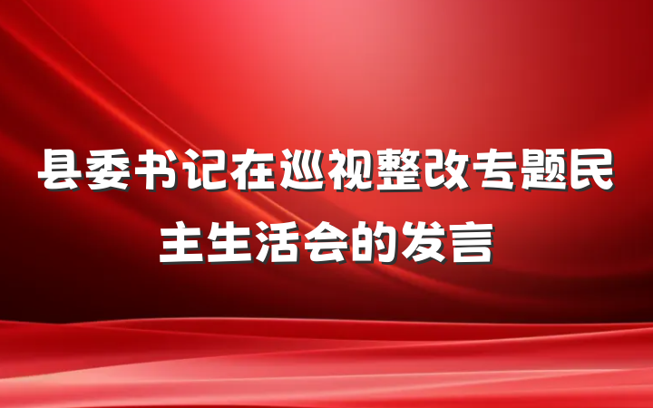 县委书记在巡视整改专题民主生活会的发言