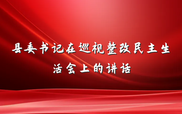 县委书记在巡视整改民主生活会上的讲话