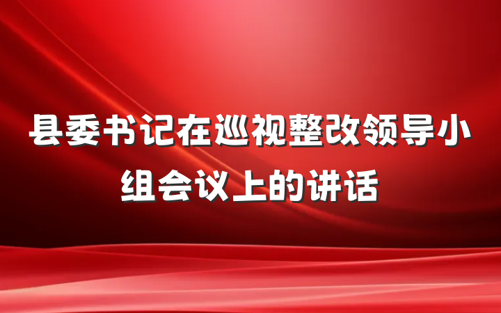 县委书记在巡视整改领导小组会议上的讲话