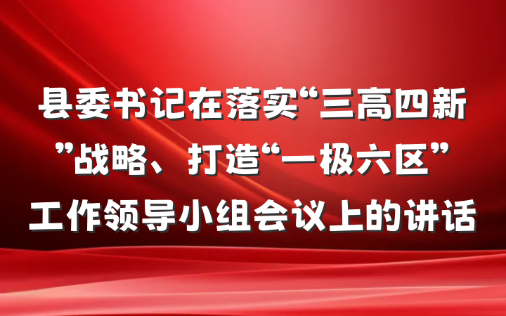 县委书记在落实“三高四新”战略、打造“一极六区”工作领导小组会议上的讲话