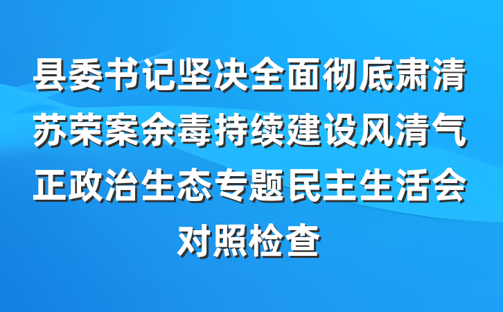 县委书记坚决全面彻底肃清苏荣案余毒持续建设风清气正政治生态专题民主生活会对照检查