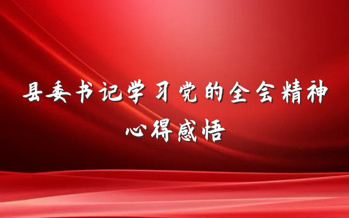 县委书记学习党的全会精神心得感悟