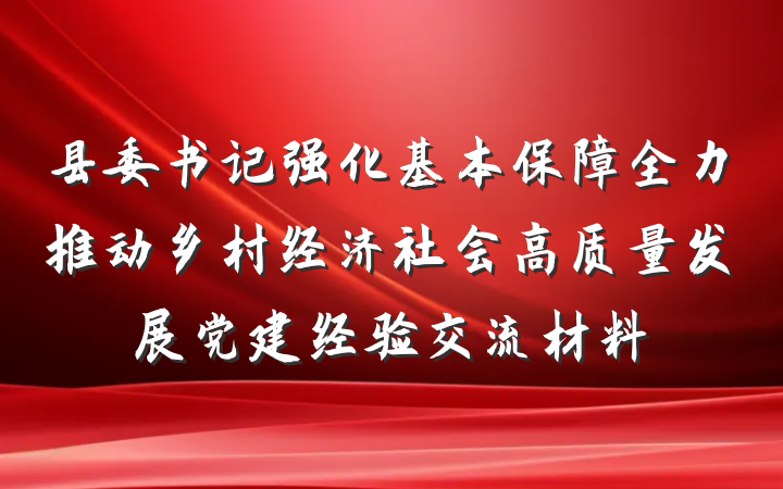 县委书记强化基本保障全力推动乡村经济社会高质量发展党建经验交流材料