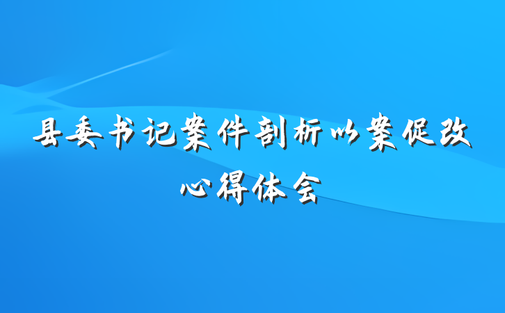 县委书记案件剖析以案促改心得体会