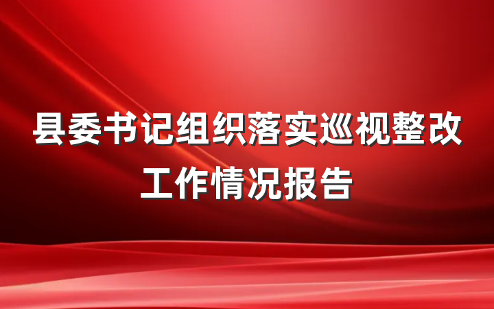 县委书记组织落实巡视整改工作情况报告