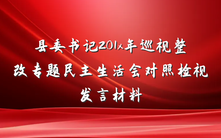 县委书记201x年巡视整改专题民主生活会对照检视发言材料