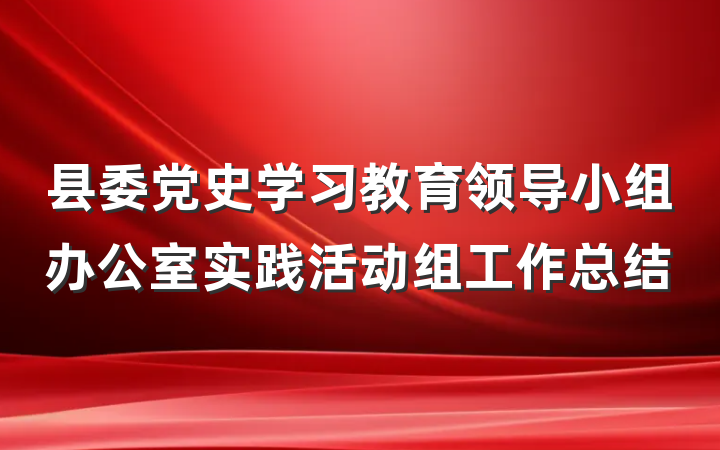 县委党史学习教育领导小组办公室实践活动组工作总结