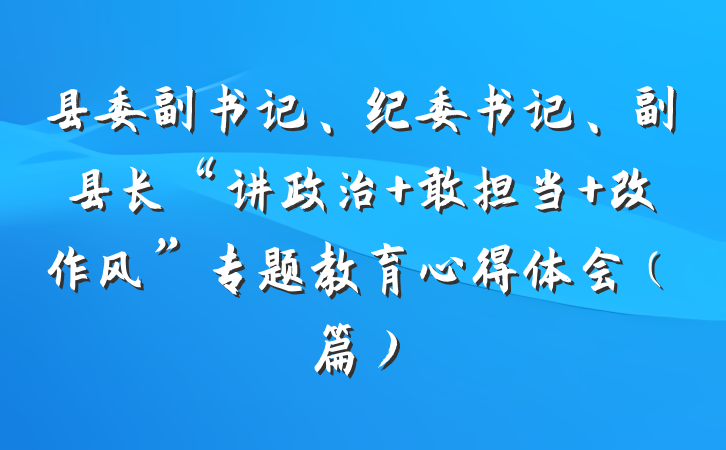县委副书记、纪委书记、副县长“讲政治 敢担当 改作风”专题教育心得体会（篇）