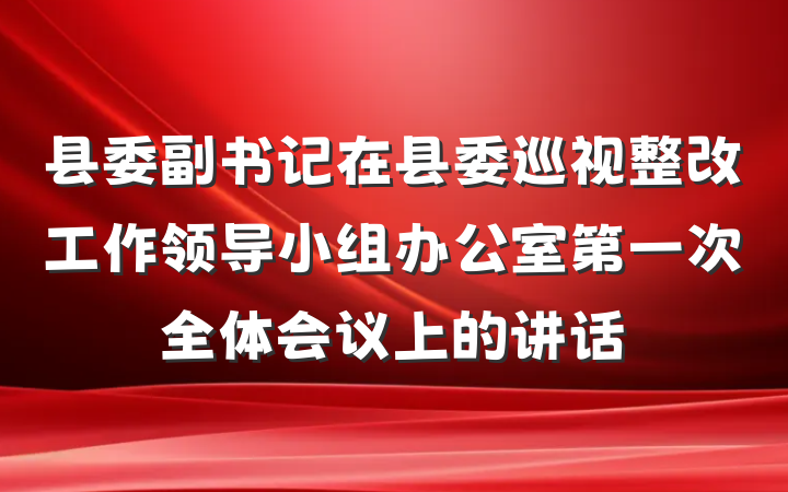 县委副书记在县委巡视整改工作领导小组办公室第一次全体会议上的讲话