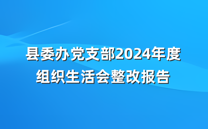 县委办党支部2024年度组织生活会整改报告