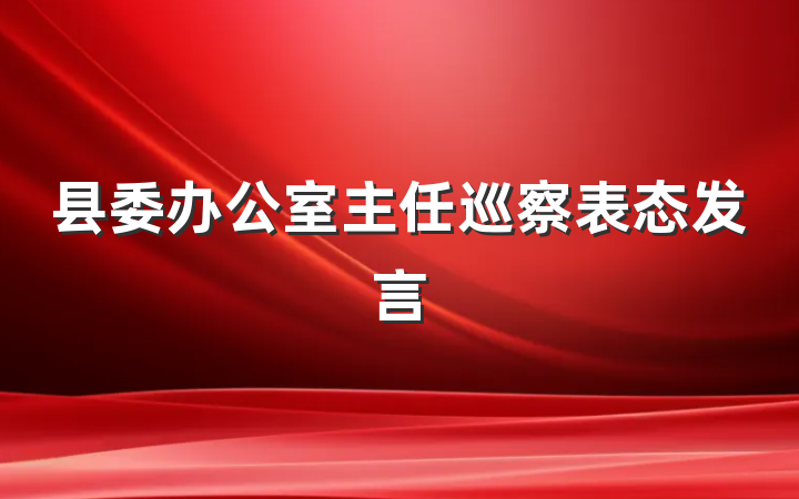 县委办公室主任巡察表态发言