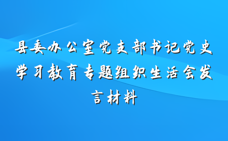 县委办公室党支部书记党史学习教育专题组织生活会发言材料