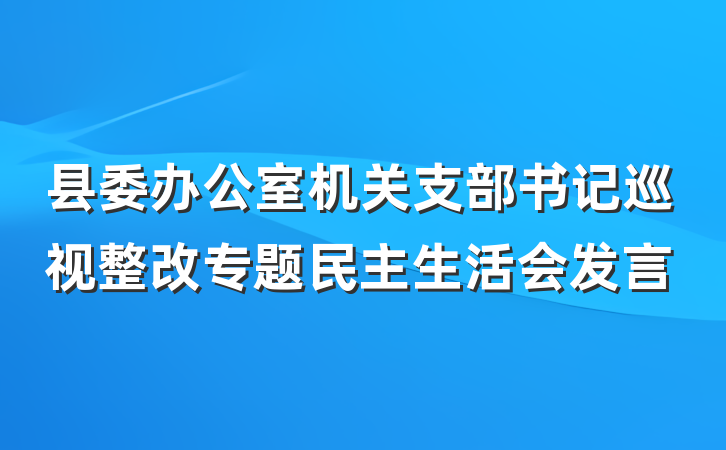 县委办公室机关支部书记巡视整改专题民主生活会发言