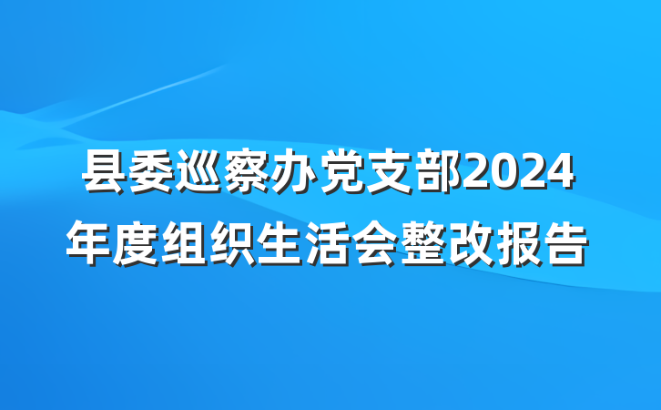 县委巡察办党支部2024年度组织生活会整改报告