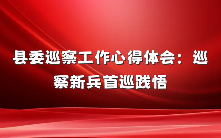 县委巡察工作心得体会：巡察新兵首巡践悟