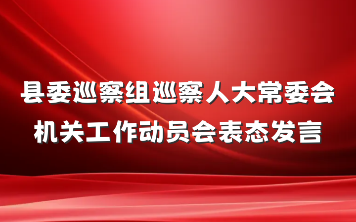 县委巡察组巡察人大常委会机关工作动员会表态发言