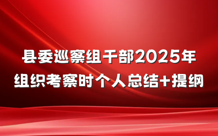 县委巡察组干部2025年组织考察时个人总结 提纲