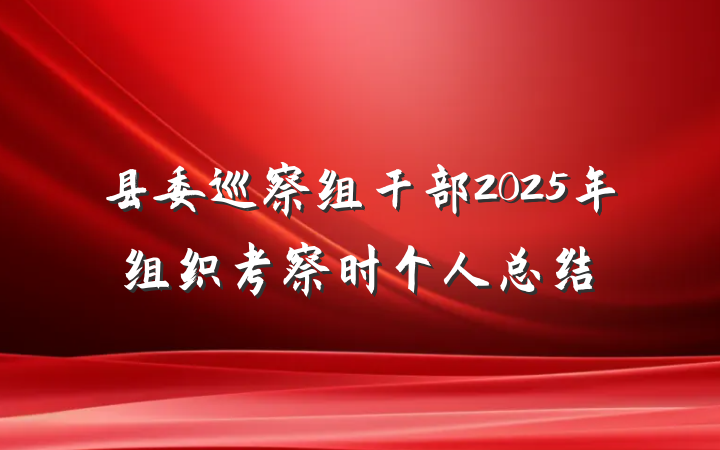 县委巡察组干部2025年组织考察时个人总结
