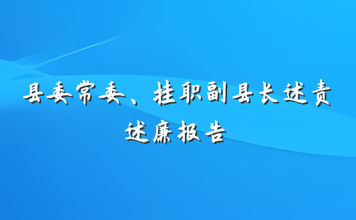 县委常委、挂职副县长述责述廉报告