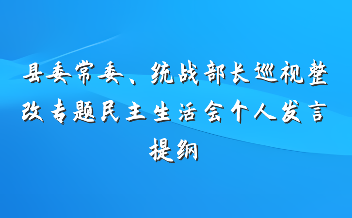 县委常委、统战部长巡视整改专题民主生活会个人发言提纲