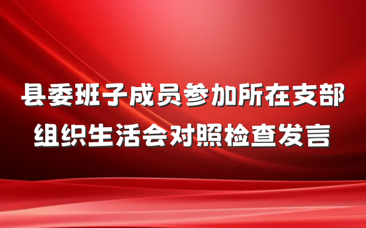 县委班子成员参加所在支部组织生活会对照检查发言