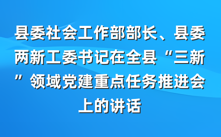 县委社会工作部部长、县委两新工委书记在全县“三新”领域党建重点任务推进会上的讲话