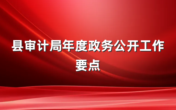 县审计局年度政务公开工作要点