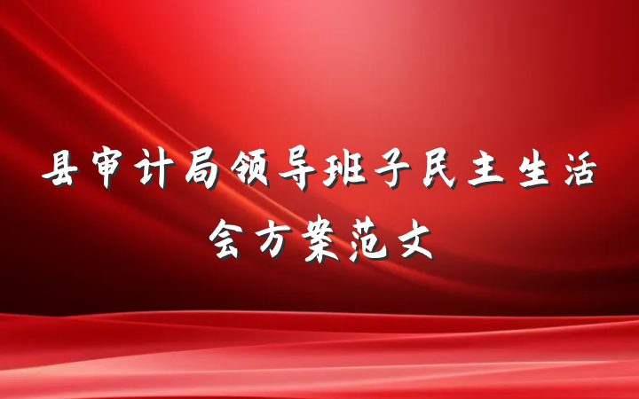 县审计局领导班子民主生活会方案范文
