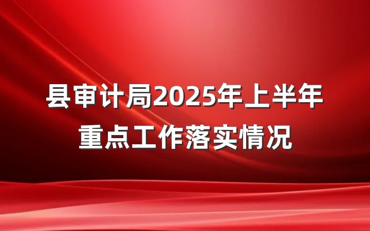 县审计局2025年上半年重点工作落实情况