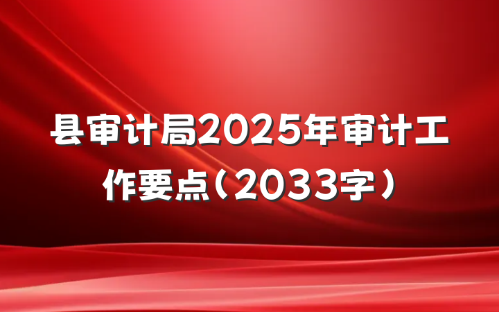 县审计局2025年审计工作要点（2033字）