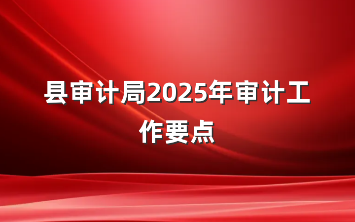 县审计局2025年审计工作要点