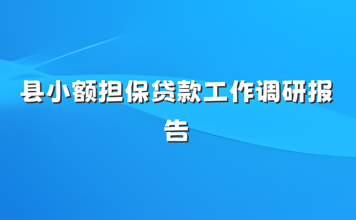 县小额担保贷款工作调研报告
