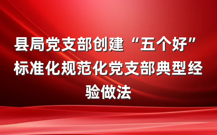 县局党支部创建“五个好”标准化规范化党支部典型经验做法