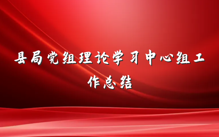 县局党组理论学习中心组工作总结