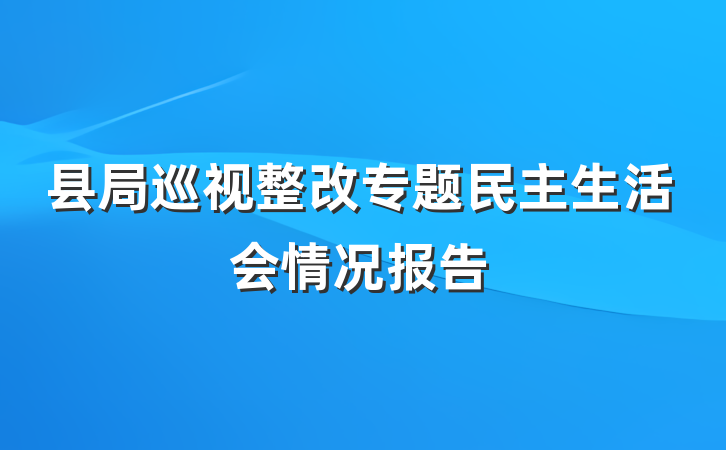 县局巡视整改专题民主生活会情况报告