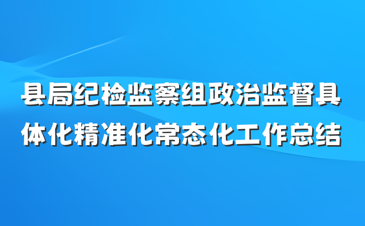 县局纪检监察组政治监督具体化精准化常态化工作总结
