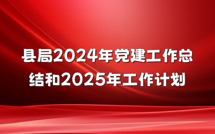 县局2024年党建工作总结和2025年工作计划