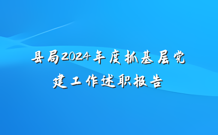 县局2024年度抓基层党建工作述职报告