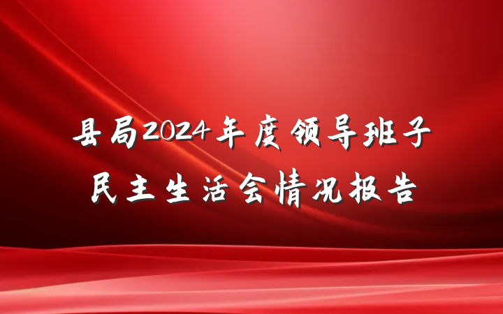 县局2024年度领导班子民主生活会情况报告