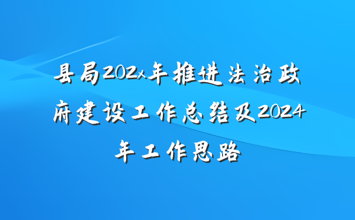 县局202x年推进法治政府建设工作总结及2024年工作思路