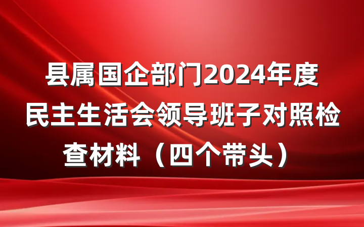 县属国企部门2024年度民主生活会领导班子对照检查材料（四个带头）
