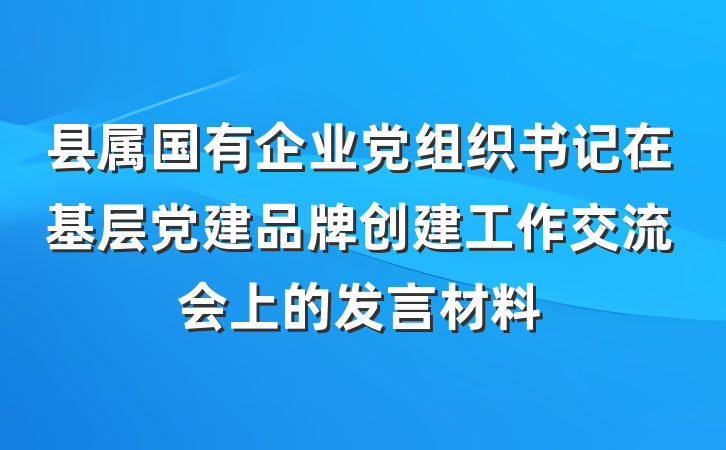 县属国有企业党组织书记在基层党建品牌创建工作交流会上的发言材料